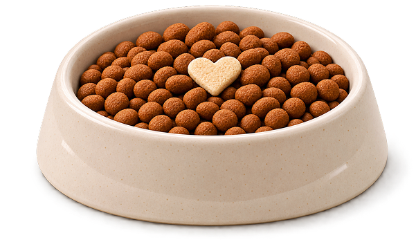 Bowl of Snuggles kibble with real freeze-dried chicken breast chunks