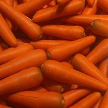 Carrot