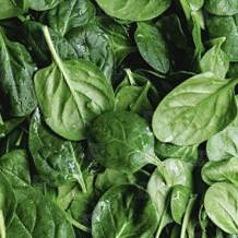 Greens